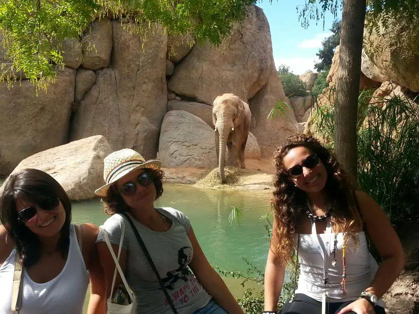 Trois femmes dans un zoo à Valence